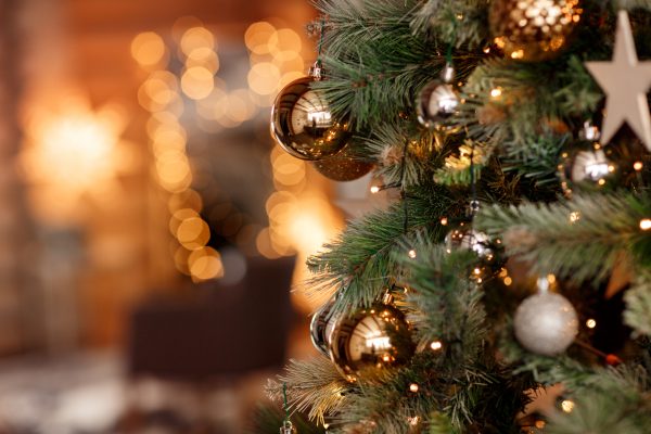 JUL-LANDGÅNG