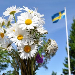Stora Sommarbuffén