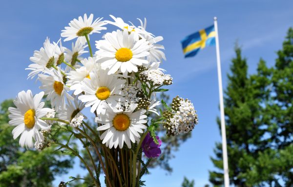 Stora Sommarbuffén